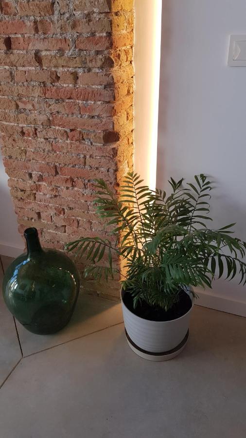 Loft Mariola - Apartamento En El Centro Historico Bocairent Eksteriør billede